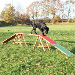 Pasarela para Agility