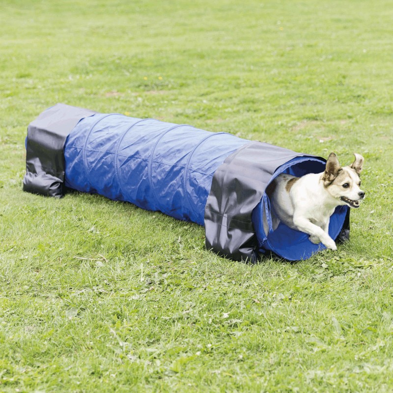 Túnel para Agility azul